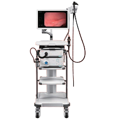Video Endoscope System V7